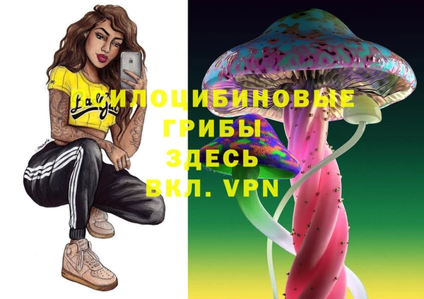 амф Баксан