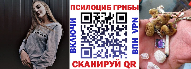 Галлюциногенные грибы Magic Shrooms  KRAKEN вход  Губаха 